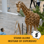 Giraffe and child