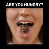 ARE YOU HUNGRY (2)