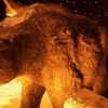 Bear of the Pleistocene - 2